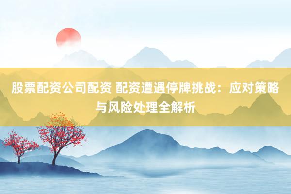 股票配资公司配资 配资遭遇停牌挑战：应对策略与风险处理全解析
