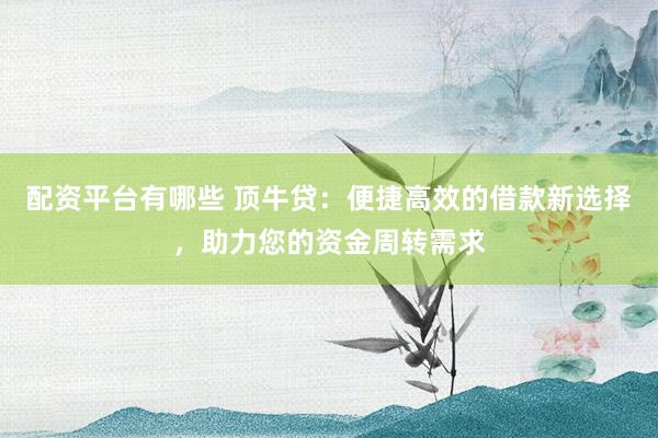 配资平台有哪些 顶牛贷：便捷高效的借款新选择，助力您的资金周转需求