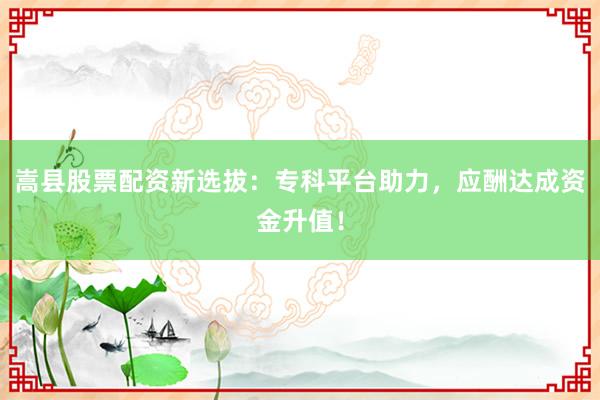 嵩县股票配资新选拔：专科平台助力，应酬达成资金升值！
