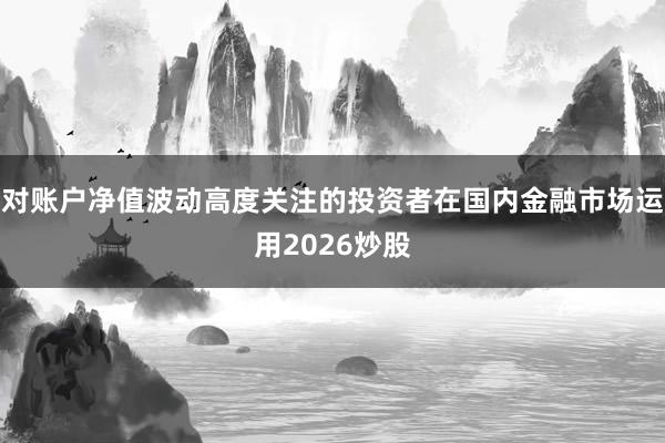 对账户净值波动高度关注的投资者在国内金融市场运用2026炒股
