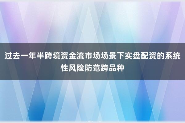 过去一年半跨境资金流市场场景下实盘配资的系统性风险防范跨品种