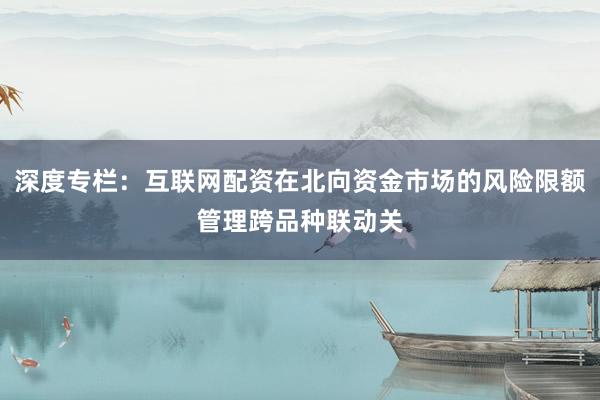 深度专栏：互联网配资在北向资金市场的风险限额管理跨品种联动关