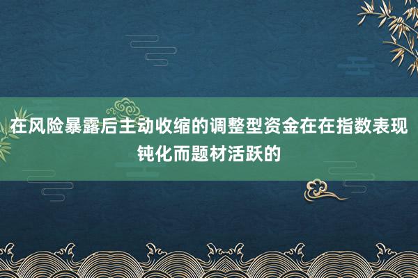 在风险暴露后主动收缩的调整型资金在在指数表现钝化而题材活跃的