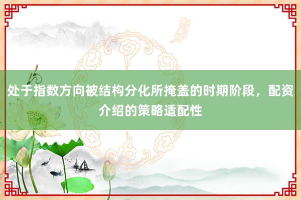 处于指数方向被结构分化所掩盖的时期阶段，配资介绍的策略适配性