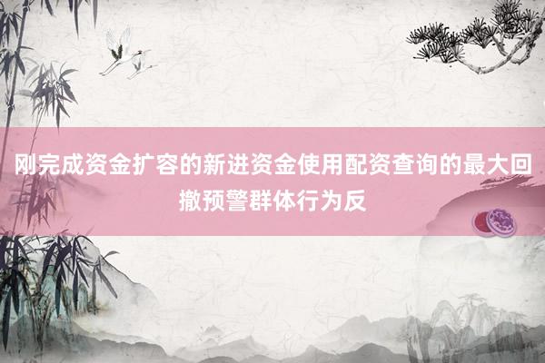 刚完成资金扩容的新进资金使用配资查询的最大回撤预警群体行为反