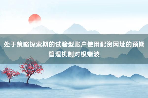 处于策略探索期的试验型账户使用配资网址的预期管理机制对极端波