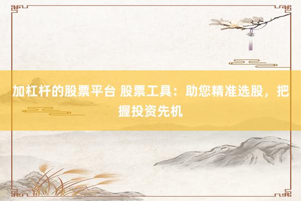 加杠杆的股票平台 股票工具：助您精准选股，把握投资先机