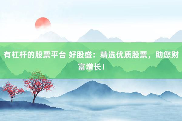有杠杆的股票平台 好股盛：精选优质股票，助您财富增长！