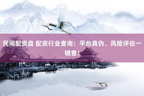 民间配资盘 配资行业查询：平台真伪、风险评估一键查！