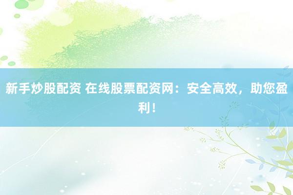 新手炒股配资 在线股票配资网：安全高效，助您盈利！