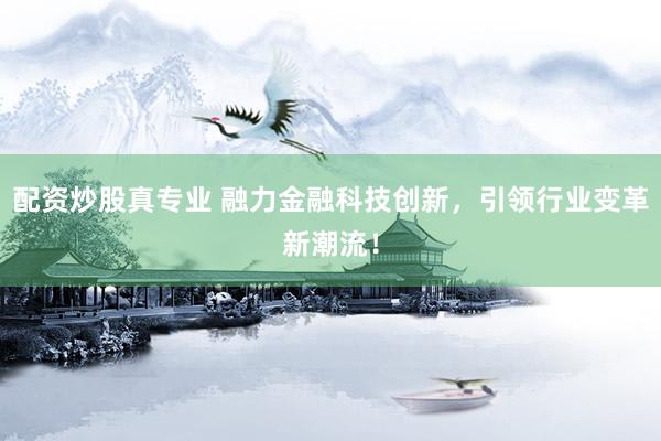 配资炒股真专业 融力金融科技创新,引领行业变革新潮流!